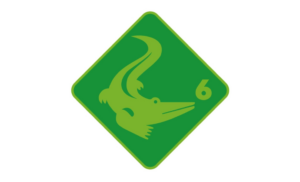 Krokodil Stufe 6 Grundlagenausbildung swimsports.ch