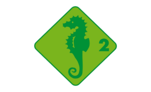 Seepferd Stufe 2 Grundlagenausbildung swimsports.ch